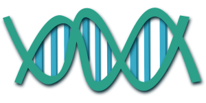 Effects of Genomics in Healthcare